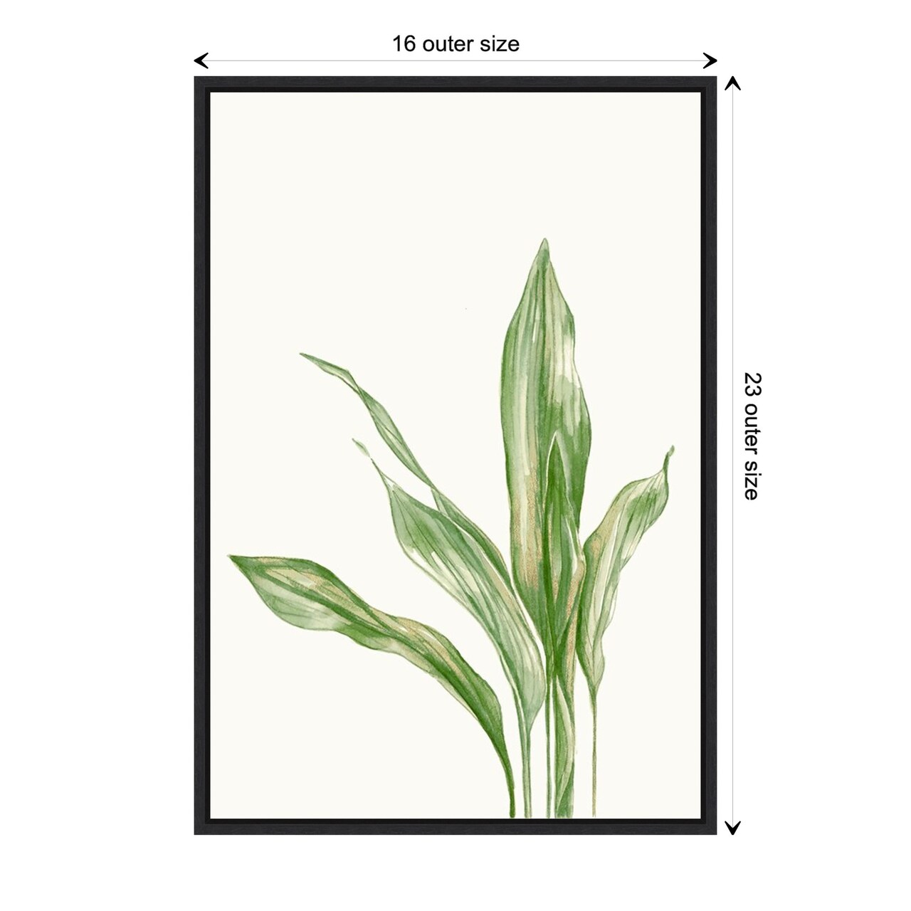Cast Iron Plant II by and Slyp Errico Canvas Wall Art Print Framed